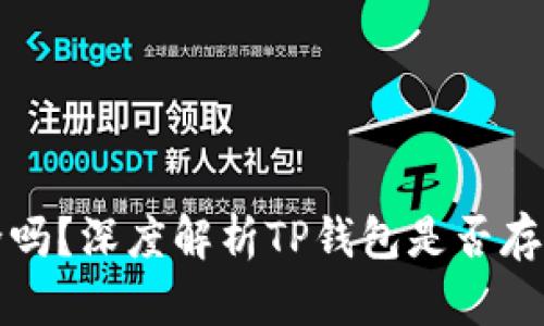 TP钱包安全吗？深度解析TP钱包是否存在病毒问题
