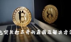 TP钱包突然打不开的原因及解决方法详