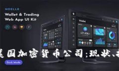 全面解析美国加密货币公司：现状、挑