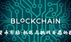 海南加密货币市场：机遇与挑战并存的