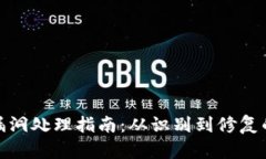 加密货币漏洞处理指南：从识别到修复