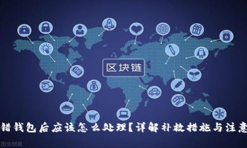 TP转错钱包后应该怎么处理？详解补救措施与注意事项