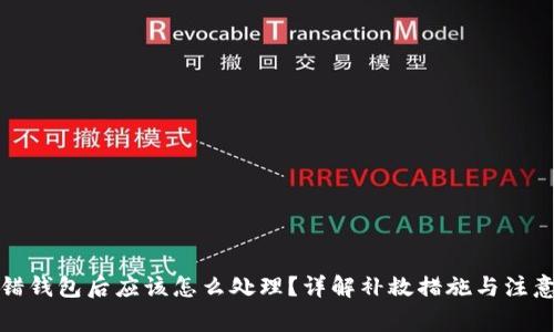TP转错钱包后应该怎么处理？详解补救措施与注意事项