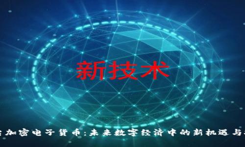 茅台加密电子货币：未来数字经济中的新机遇与挑战