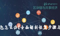 误删TP钱包怎么办？全面解析恢复步骤