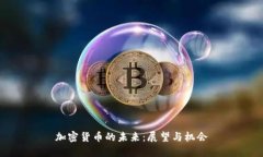 加密货币的未来：展望与机会
