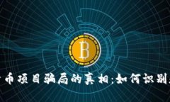 揭开加密货币项目骗局的真相：如何识