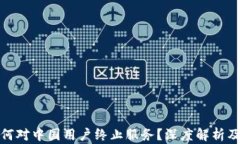 TP钱包为何对中国用户终止服务？深度