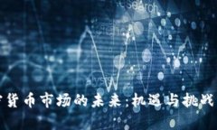 加密货币市场的未来：机遇与挑战分析