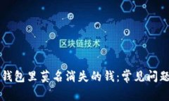 如何解决TP钱包里莫名消失的钱：常见