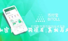 : 揭秘加密货币土狗项目：真相与风险