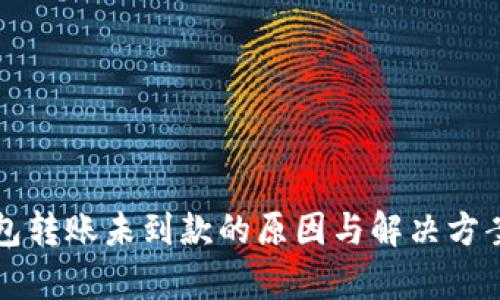 TP钱包转账未到款的原因与解决方案解析
