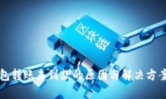 TP钱包转账未到款的原因与解决方案解