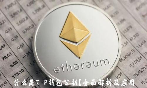 
什么是T P钱包公钥？全面解析及应用