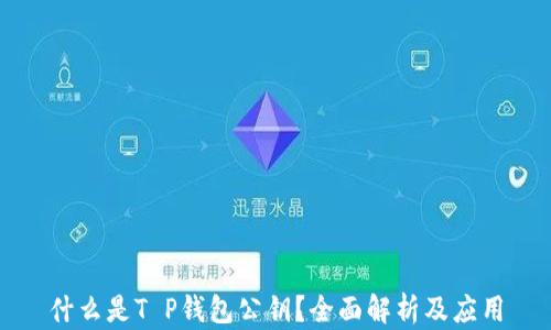 
什么是T P钱包公钥？全面解析及应用