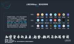 加密货币的未来：趋势、挑战与机遇分