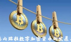 探讨委内瑞拉数字加密货币的发展与挑