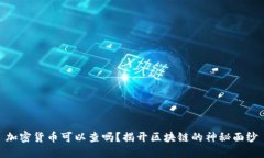 加密货币可以查吗？揭开区块链的神秘