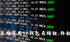 如何正确使用TP钱包马蹄链：终极指南