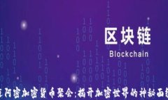迈阿密加密货币聚会：揭开加密世界的