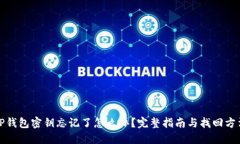 TP钱包密钥忘记了怎么办？完整指南与