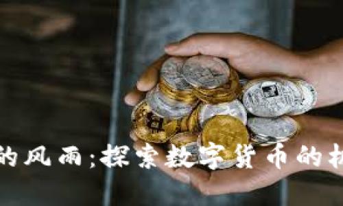 加密货币的风雨：探索数字货币的机遇与挑战