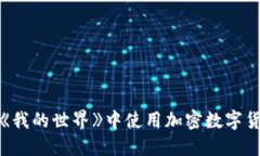 如何在《我的世界》中使用加密数字货