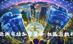 欧洲市场加密货币：机遇与挑战