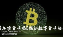 每个人都有加密货币吗？揭秘数字货币