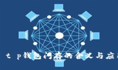 ### t p钱包闪存的含义与应用解析