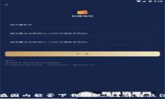   TP钱包在国内能否下载与使用？详解