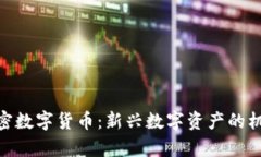 Candy加密数字货币：新兴数字资产的机