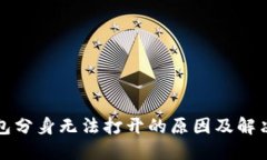 TP钱包分身无法打开的原因及解决方案