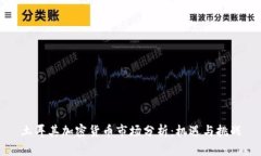 土耳其加密货币市场分析：机遇与挑战