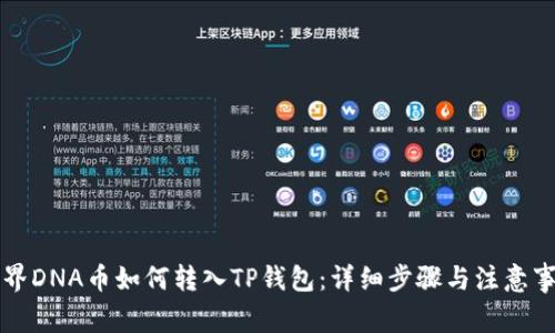 元界DNA币如何转入TP钱包：详细步骤与注意事项