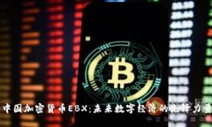 中国加密货币EBX：未来数字经济的先锋
