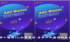深入解析Sia加密货币：去中心化存储的