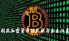 尼日利亚加密货币的现状与未来归类分