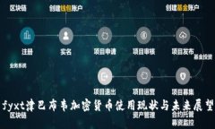 fyxt津巴布韦加密货币使用现状与未来