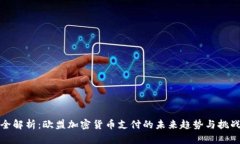 全解析：欧盟加密货币支付的未来趋势
