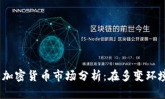 2023年大型加密货币市场分析：在多变