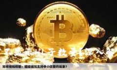 : TP钱包为何不显示HL子数量？深入解析
