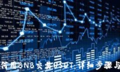 TP钱包如何用BNB交易USDT：详细步骤与注