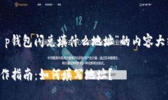 以下是关于“t p钱包闪兑填什么地址”