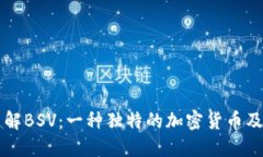 深入了解BSV：一种独特的加密货币及其