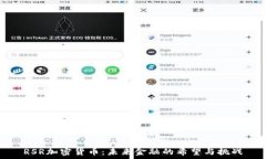   RSR加密货币：未来金融的希望与挑战
