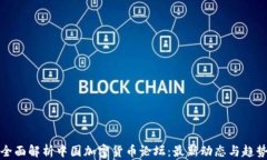 全面解析中国加密货币论坛：最新动态