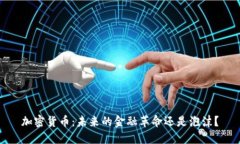 加密货币：未来的金融革命还是泡沫？