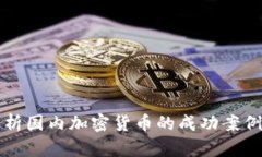 深入分析国内加密货币的成功案例与挑
