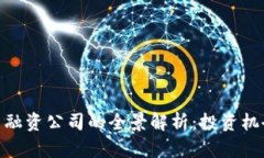 加密货币融资公司的全景解析：投资机